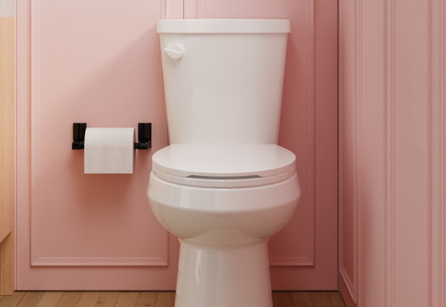 Must-Have Comfort-Height Toilets